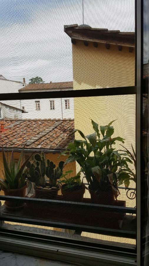 Mavi'S Bedrooms Lucca Exterior foto
